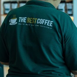 Camiseta Polo