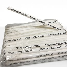 Canudos Plastico